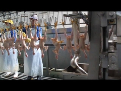 Một cây cưa hình dạng