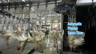 máy nhổ tự động