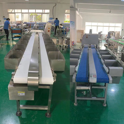 Máy phân loại trọng lượng loại dây đai / khay cho sản xuất nhà giết mổ tùy chỉnh
