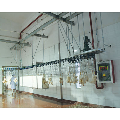 Máy giết gà tự động 800bph - 2000bph Thiết bị chế biến thịt gà