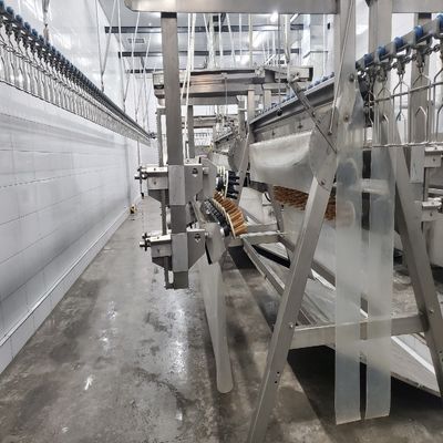 Máy giết thịt gia cầm tự động 500-1000 BPH Đường giết thịt gà