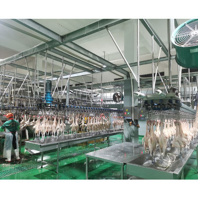 Đường giết thịt tùy chỉnh cho máy giết thịt gà 300-1000 Bph Công suất