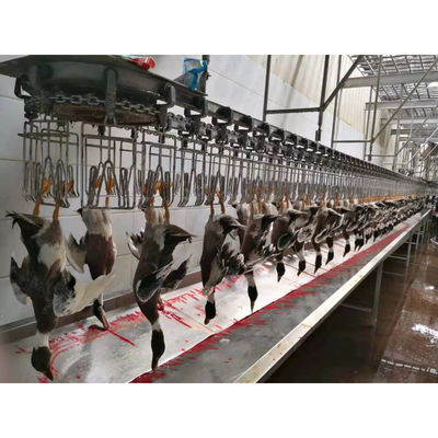 Dòng sản xuất thịt gà bằng thép không gỉ cho các công suất sản xuất khác nhau