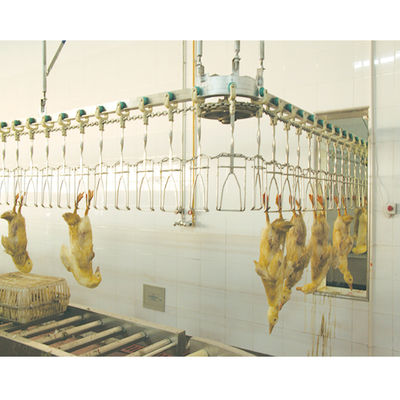 Thiết bị giết thịt gia cầm Halal tự động tùy chỉnh cho quy trình nhổ gà