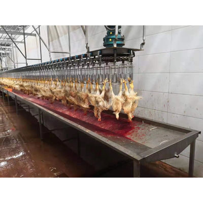 Đường giết gà Halal/thiết bị cho chế biến khác và đảm bảo hiệu suất