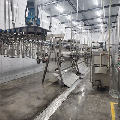 Máy giết gà với cài đặt tại chỗ hoặc trực tuyến và thép không gỉ 304