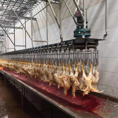 Máy sưởi gia cầm tự động thép không gỉ 304 Thiết bị chế biến gia cầm