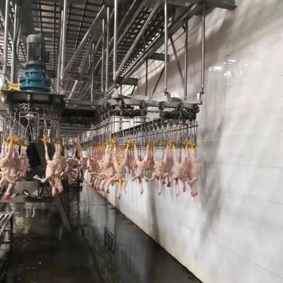 Thép không gỉ 304 Thổ Nhĩ Kỳ Máy giết thịt gia cầm Nhà máy giết thịt gia cầm Máy