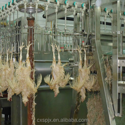 Máy chế biến gia cầm điện áp 380V/220V để nhổ gà và giết halal