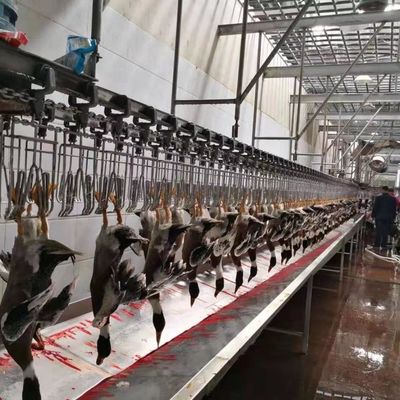 Thiết bị giết thịt gia cầm được chứng nhận CE Đàn vịt Đường giết thịt gia cầm 600kg