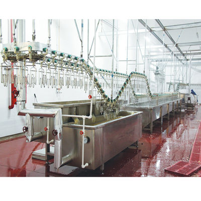 220V 380V 415V Wax giải tan và ướt Máy cho con vịt gia cầm chế biến dây chuyền
