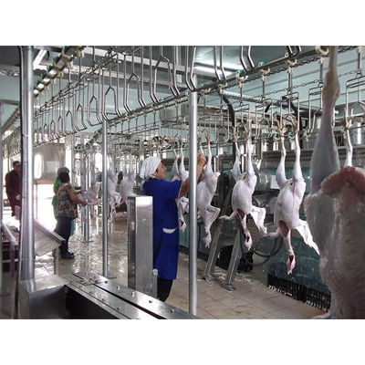 Thiết bị giết gà bằng thép không gỉ 304 với điện áp 380V và bảo trì dễ dàng