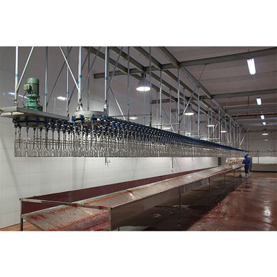Máy giết thịt gà không gỉ có khả năng tùy chỉnh