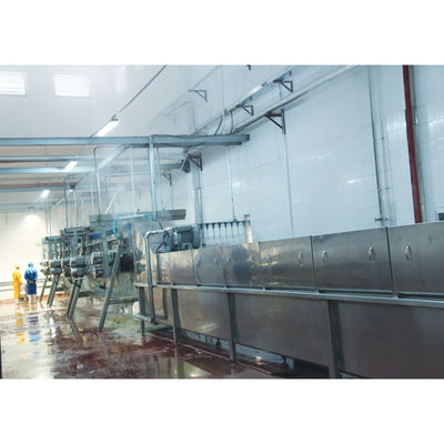 Dòng giết gà hoàn chỉnh 500-10000bph Thiết bị giết thịt gia cầm