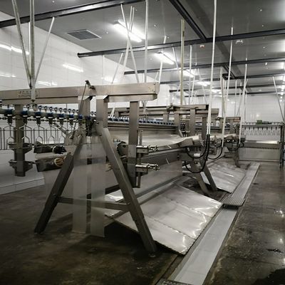 Hệ thống giết mổ gia súc tùy chỉnh cho công suất cao 500-1000 chim / giờ