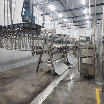 6000bph gia cầm giết thịt dây chuyền giết mổ để cải thiện năng suất