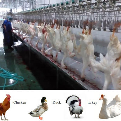 Halal hoàn chỉnh đầy đủ chức năng gia cầm thịt gà máy dây chuyền