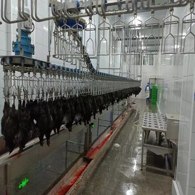 Máy giết thịt gia cầm tự động 500 bph Chicken Plucking Machine