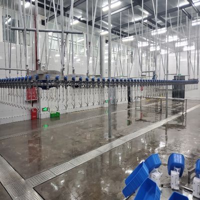 500PCS thiết bị máy giết thịt gia cầm tự động Stainless Steel Chicken Farming Line