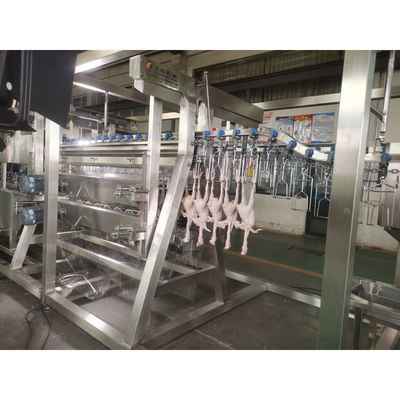 200BPH 300BPH 500BPH Tự động giết cắt ngỗng vịt gà giết thịt máy chế biến dòng hệ thống máy