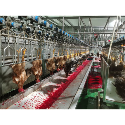 Trung Quốc Thép không gỉ 304 máy giết gà gia cầm với công suất 0f 2000BPH