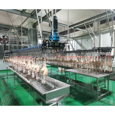 Kỹ sư bảo trì máy móc ở nước ngoài Dây chuyền giết mổ gà cho giết mổ và vặt lông gia cầm
