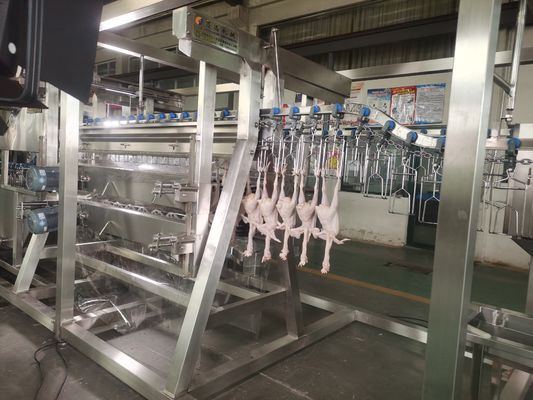 2000bph Trung Quốc Nhà máy chế biến gà tự động Điều kiện mới Thiết bị giết mổ được làm bằng dây chuyền giết thịt gia cầm trang trại thép