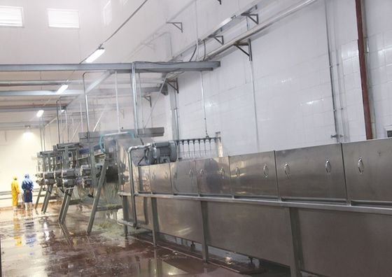 Máy giết gà làm ngất điện cho nông trại Đồ mặc cho gà vịt ngỗng chim