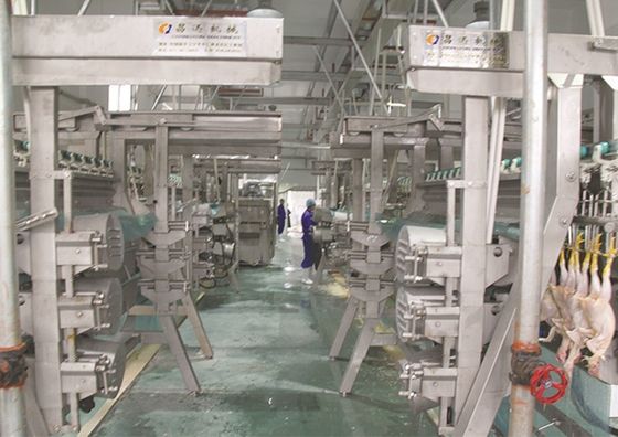 Kỹ sư lắp đặt cho dịch vụ nước ngoài trong dây chuyền chế biến gia cầm thép không gỉ