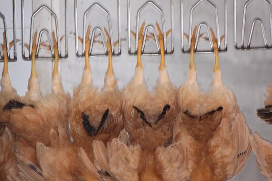 Dây chuyền giết mổ gà Halal hiệu quả cao, trọn gói cho 1000 con/giờ