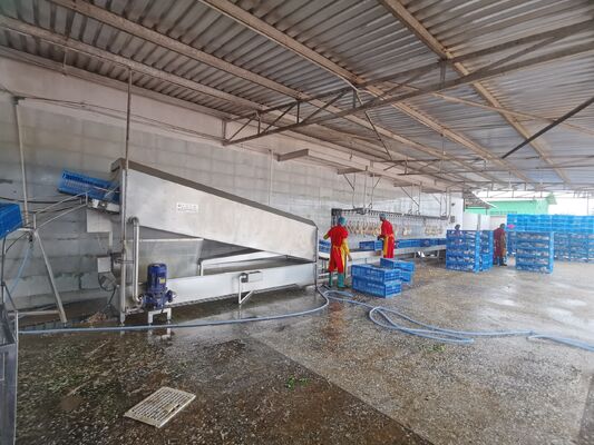 Máy rửa lồng gà tự động thép không gỉ Máy giặt lồng gà động cơ Động cơ mang