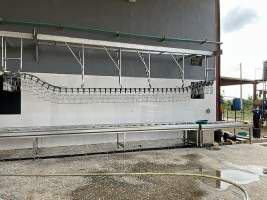 Dòng chế biến gia cầm cao hiệu quả bằng chứng Halal cho 1000 con chim mỗi giờ